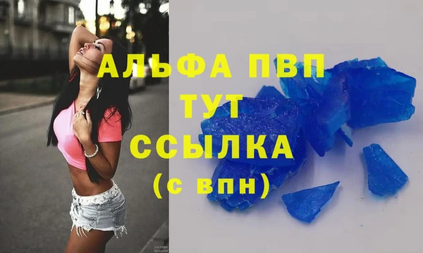 ECSTASY Бородино