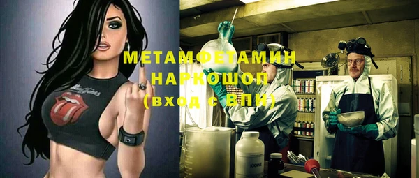 ECSTASY Бородино