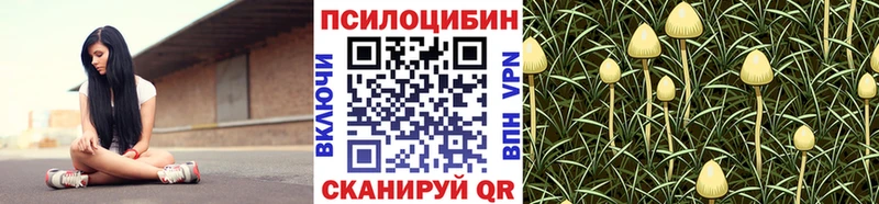 Купить закладки  Кировград  Галлюциногенные грибы ЛСД 