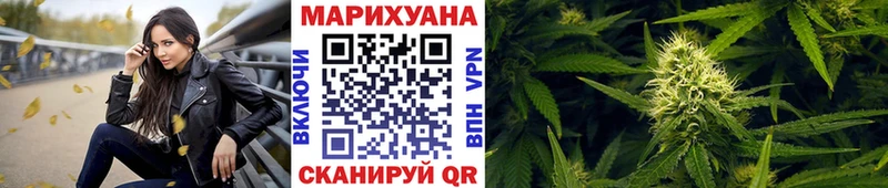 Шишки марихуана Amnesia  Купить закладки  Кировград 